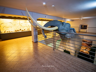 Muzeum Okręgowe w Koninie