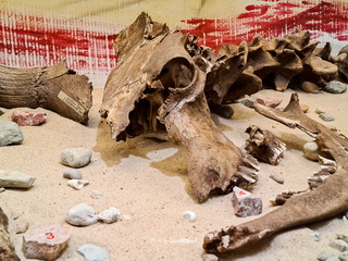 Muzeum Okręgowe w Koninie