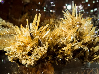 Muzeum Minerałów w Kołobrzegu
