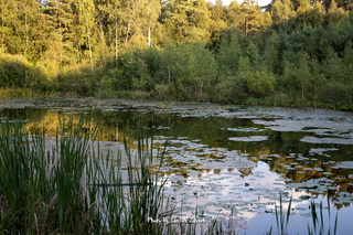 Stawek Upiorów Ustka