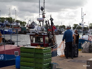 Port w Darłówku