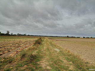 Wylatowo – Polskie Roswell