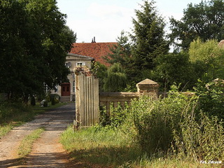 Pałac w Starkówcu
