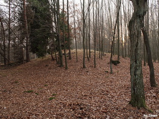 Kurhany Smoszew, Kurchany w okolicy Sulmierzyc, Stanowisko Archeologiczne