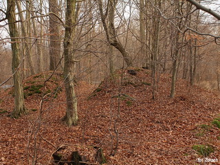 Kurhany Smoszew, Kurchany w okolicy Sulmierzyc, Stanowisko Archeologiczne