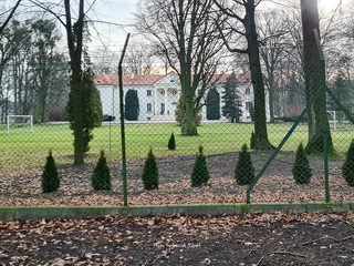 Pałac Górzno
