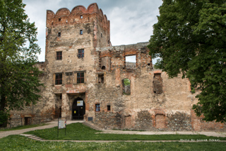 Zamek Ząbkowice Śląskie,  Ruiny Zamku w Ząbkowicach Śląskich