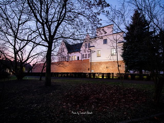 Zamek w Gosławicach - Konin