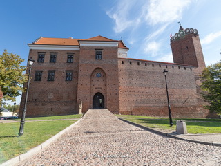 Zamek Boruty w Łęczycy