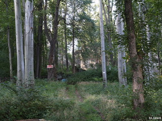 Zamek Gryf 
