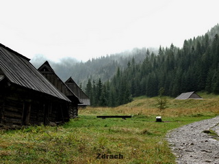 Do Schroniska Murowaniec