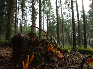 Do Schroniska Murowaniec