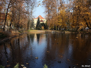 Park Miejski w Krotoszynie