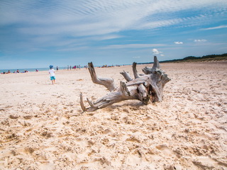 Plaża w Łebie