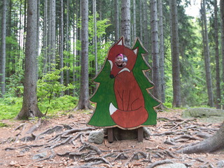 Ścieżka Lisa Harrachov