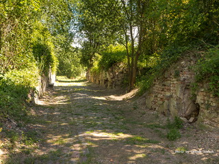 Twierdza Kostrzyn nad Odrą Ruiny Miasta - Zdjęcia