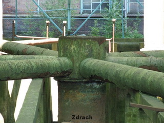 Muchołapka Mit Rozwiany Chłodnia Kominowa w Łodzi