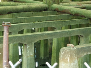 Muchołapka Mit Rozwiany Chłodnia Kominowa w Łodzi