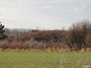 Zespół Niemieckich Schronów Piechoty 