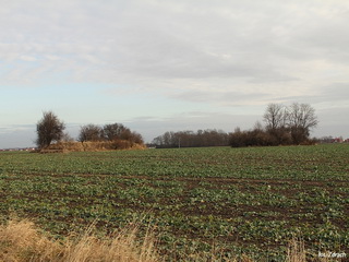 Zespół Niemieckich Schronów Piechoty 