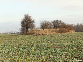 Zespół Niemieckich Schronów Piechoty 