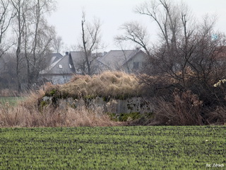 Zespół Niemieckich Schronów Piechoty 