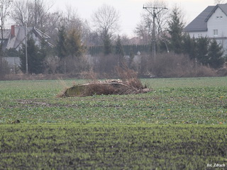 Zespół Niemieckich Schronów Piechoty 