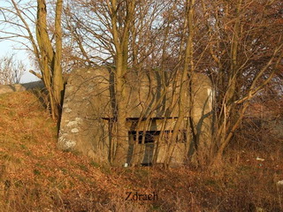 Przedmoście Kalisza