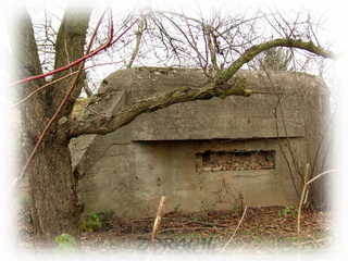 Przedmoście Kalisza