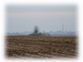 Przedmoście Kalisza