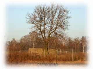 Przedmoście Kalisza