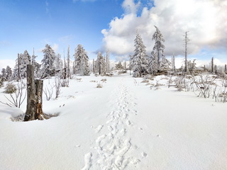 Turbacz - Gorce, Korona Gór Polski