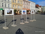 Wystawa Rynek Krotoszyn - III miejsce w konkursie fotograficznym Krotoszyn – Moje miasto zorganizowanym dla pracowników firmy Mahle wrzesień 2015