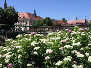 Ostrów Tumski we Wrocławiu