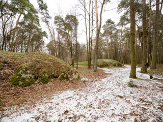 Grobowce megalityczne w Wietrzychowicach