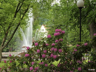 Duszniki Zdrój 