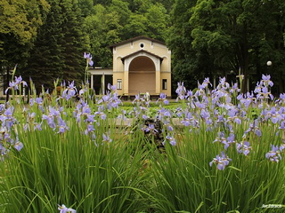 Park Zdrojowy Duszniki Zdrój