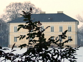 Pałac w Dobrzycy