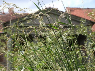 Pałac w Kromolicach