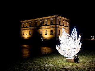 Pałac w Dobrzycy