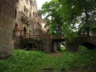 Zamek Świny