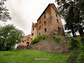 Zamek Świny