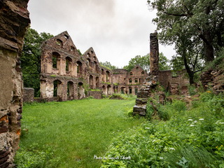 Zamek Świny