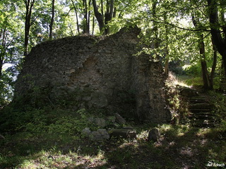 Zamek Wleń