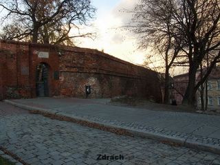 Zamek Królewski w Poznaniu