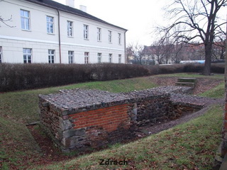 Zamek w Kaliszu