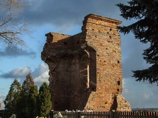 Zamek w Radlinie