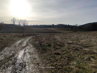Chełmiec