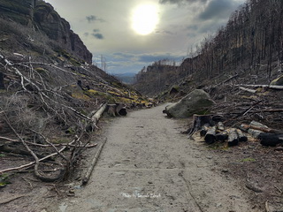 Czeska Szwajcaria, Brama Pravčicka