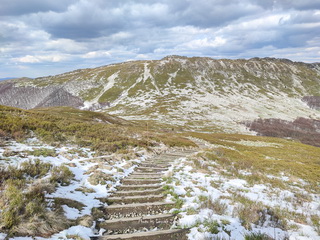 Halicz, Rozsypanie, Tarnica w Bieszczadach foto 2024